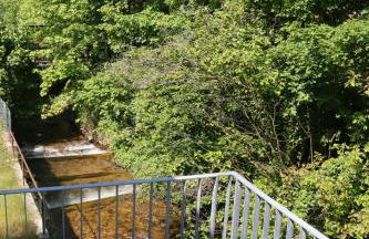 Klemmbachidyll - Photo 19