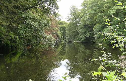 Beckbury Guesthouse - Foto 28