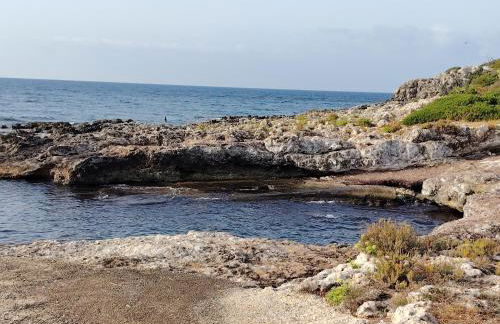 La Casetta di Camelia - Foto 64