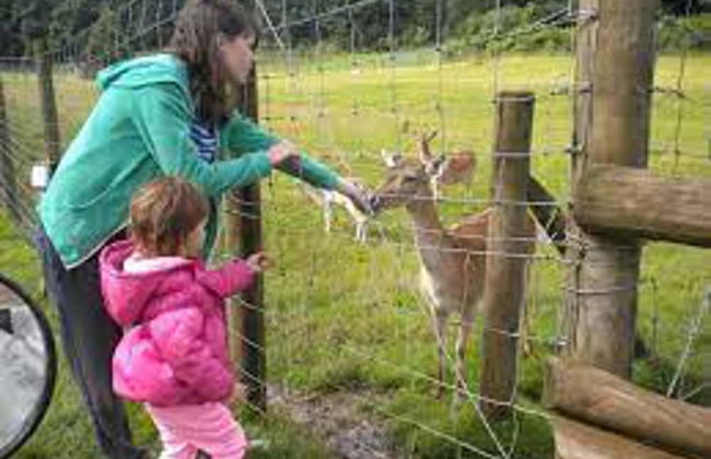 The Shippon -hot Tub ext chg - Superking-log Fire - Foto 16