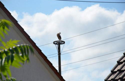 Storchennest an der Spree in Radinkendorf - Foto 71