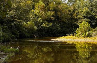 Three Suns Full Rental | 8 Cabins | Views | River - Foto 24