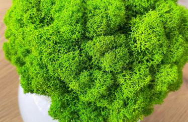 Norda Resort - Foto 36