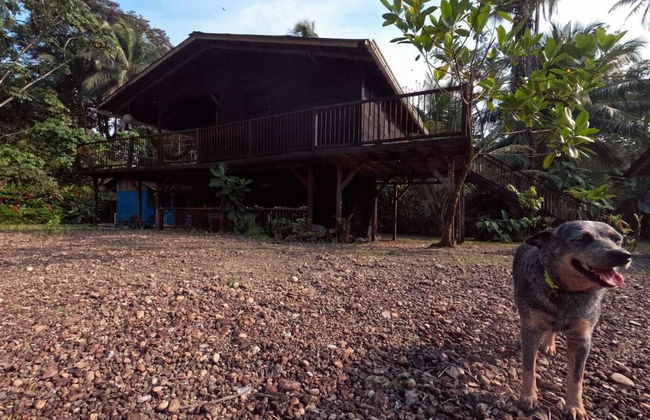 Casa Cielito - Photo 36