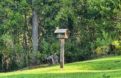 Casa de campo Aconchego Serrano - Photo 37