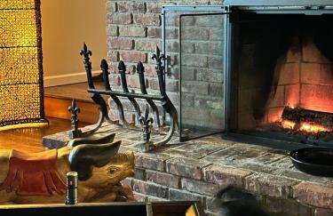 Nature's Nest - Woodland Retreat - Fireplace - Quiet and Cozy - Foto 14