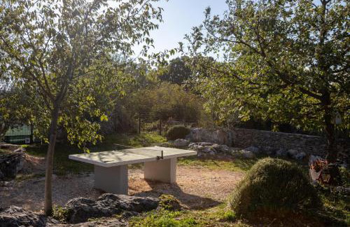 Villa Mirkov San - Foto 45