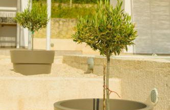 The Leaf House - Kefalonia - Photo 17