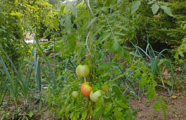 Maison Chez Marinette - Photo 44