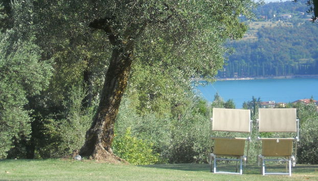 Agriturismo Renzano Garden Apartments - Foto 2, Imagen principal