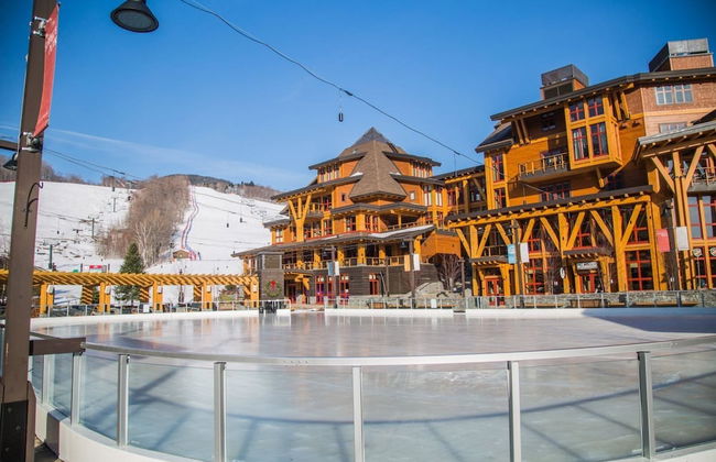 1230 Studio at The Lodge at Spruce Peak - Photo 8