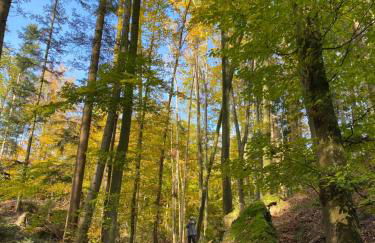 Golfchalet Heidi Uttlau-Bad Griesbach - Foto 49