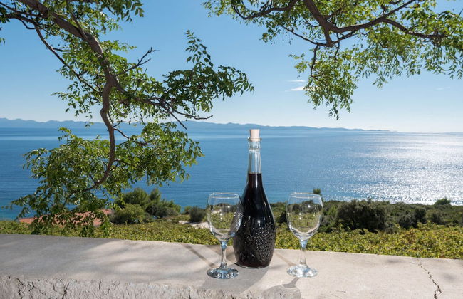 Country Home Dingač - Photo 17