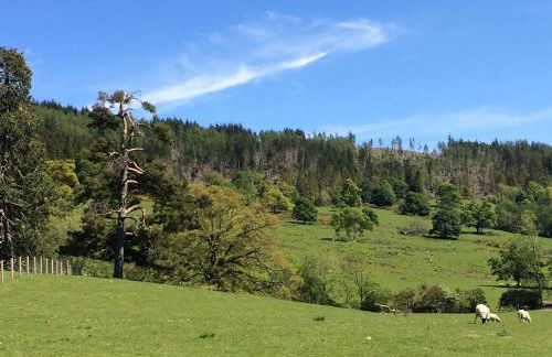 Leny Estate - Photo 34