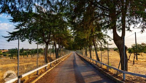 Alojamento Local Santa Marta - Foto 5