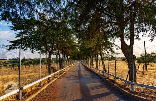 Alojamento Local Santa Marta - Foto 5