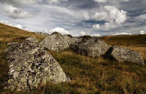 Maison de plein pied au cœur de la nature - Foto 16