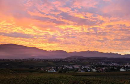 Oberberghof - Foto 8