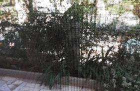 Kate-Mari House - Foto 18