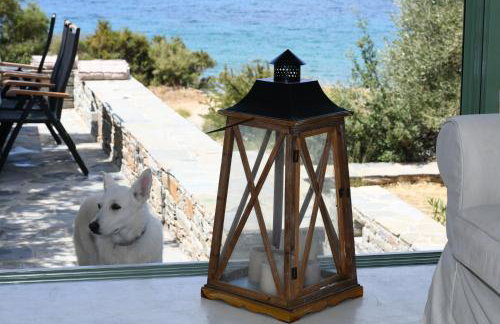 Sun Senses beach front villa with private beach - Photo 16