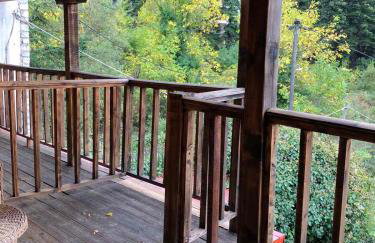 Panorama Elati - Foto 15