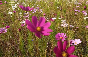 GRETA Nowoczesny domek modułowy nad stawem - Foto 36