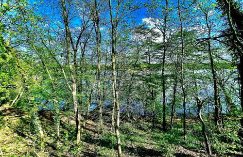 Stylisches See-Studio mit Badezugang & Garten - Photo 9