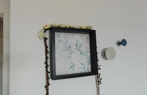 zélu apartamento centro da Guarda - Foto 5