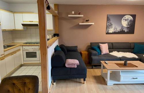 Ferienwohnungen im Feriendorf Reichenbach Nr 11A - Foto 9