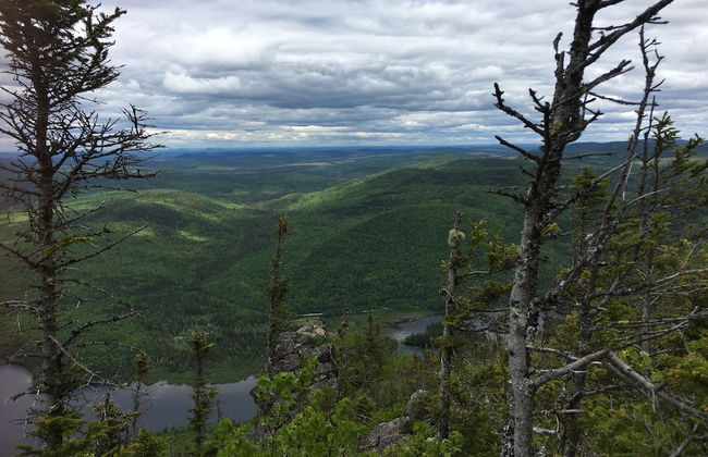 Heron's Nest Cottages - Foto 60