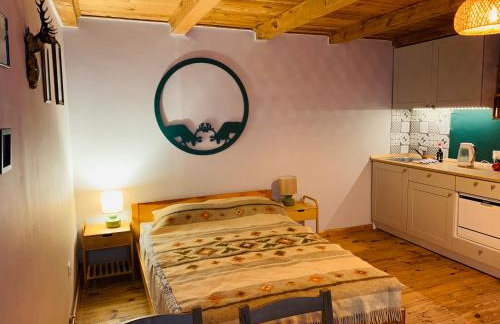 Igły i szyszki - Foto 8