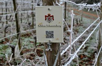 Auszeit Rheingauer Rosengasse - Photo 37