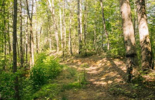Streamside ShinyTiny Airstream in the Smokies - Foto 31