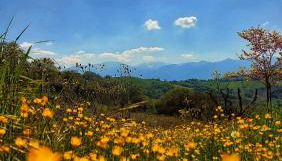 San Isidore - Foto 4