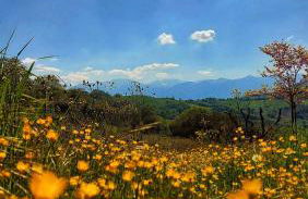 San Isidore - Foto 4