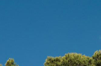 Prinsotel La Caleta - Foto 55