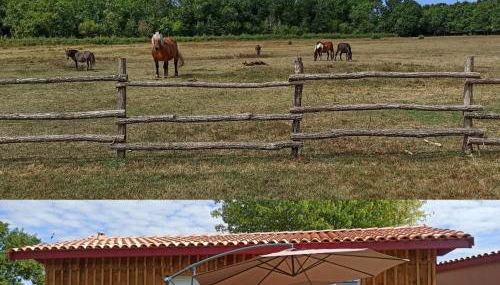 eco nature, gite à la ferme - Foto 5