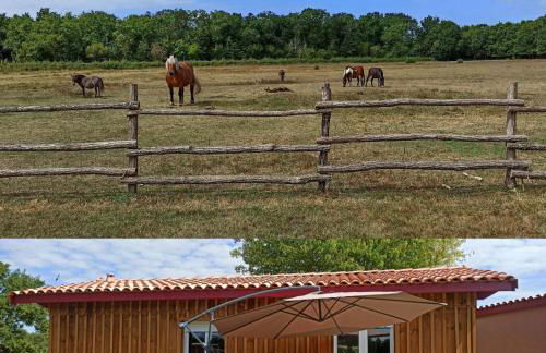 eco nature, gite à la ferme - Foto 1