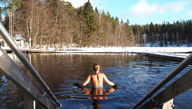 Parc national de Sipoonkorpi et expérience de sauna à fumée - Photo 2