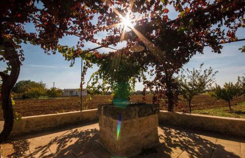 Tenuta Terraluna Villa - Foto 9