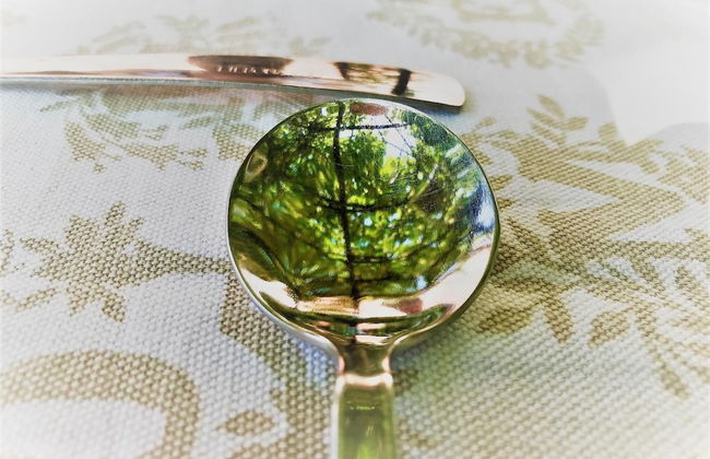 Agriturismo Gocce di Luna - Foto 25