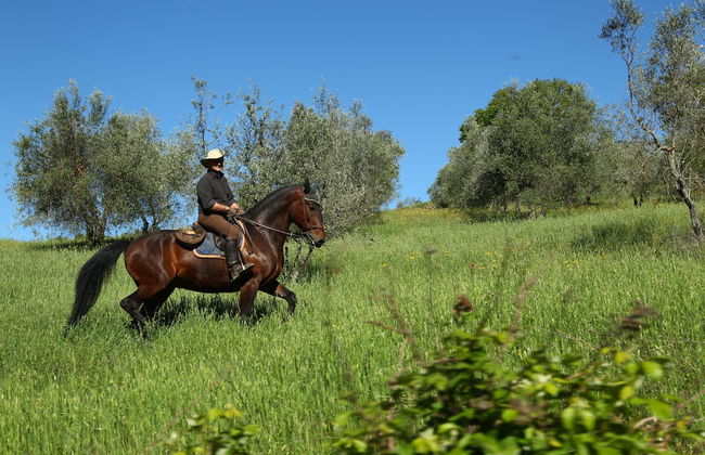 Agriturismo Palazzo Bandino - Photo 49