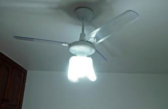 CANTO DA ARVORE 1 - Foto 67