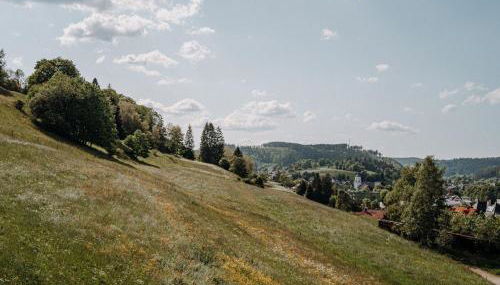 Ferienwohnung Wälderliebe - Photo 4