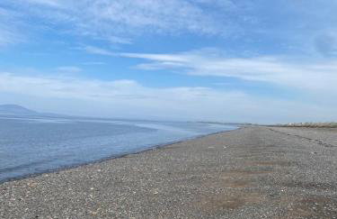 23 The Beeches - Foto 33