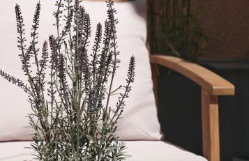 Studio rénové avec belle terrasse - Foto 3