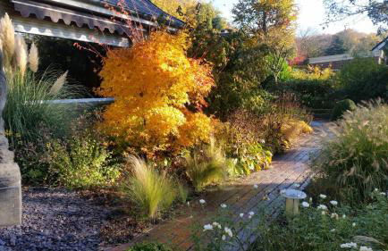 Urlaubsoase und Meehr - Foto 12