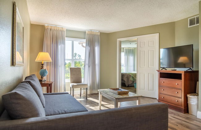 Palm Studio by Orlando Short Term - Foto 1