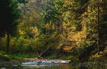 Novosiele Lifestyle Apartments - nad górską rzeką - Strefa relaksu sauna jacuzzi - Bieszczady - Foto 43