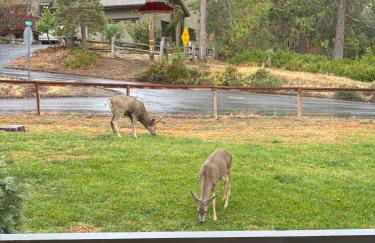 Mariposa home, Yosemite retreat, deer watching, family friendly - Foto 7